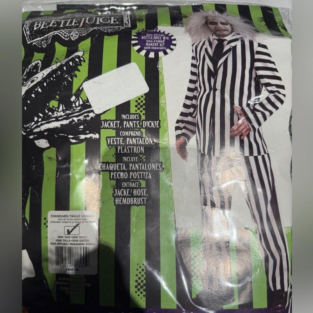 Beetlejuice Striped Costume
